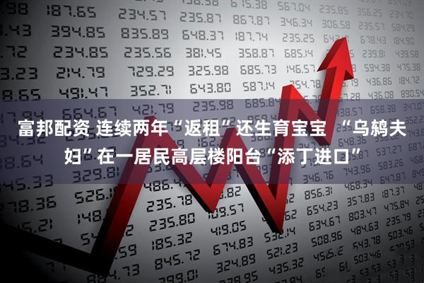 富邦配资 连续两年“返租”还生育宝宝  “乌鸫夫妇”在一居民高层楼阳台“添丁进口”